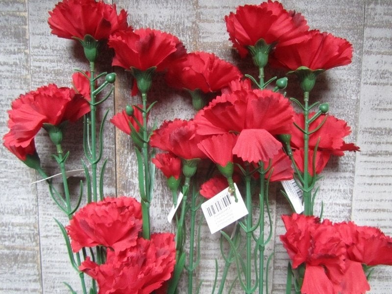 ANJER - KUNST - ROOD - WIT € 2,00, Ophalen of Verzenden, Nieuw