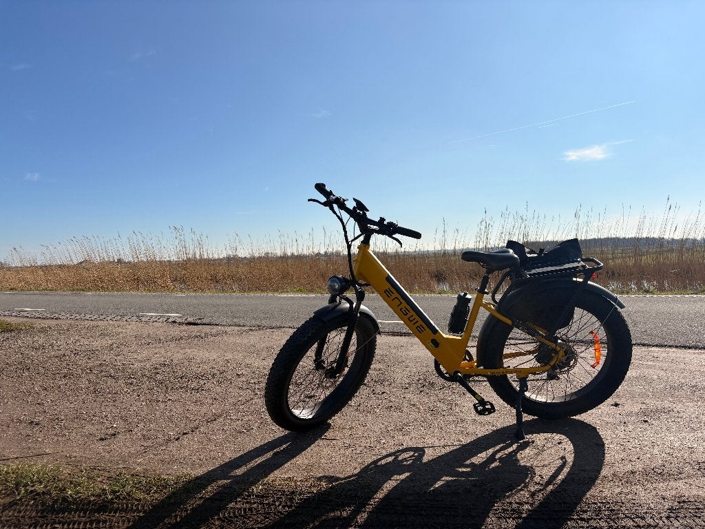 Engwe E26 elektrische fiets, Gebruikt, 59 cm of meer, 50 km per accu of meer, Ophalen
