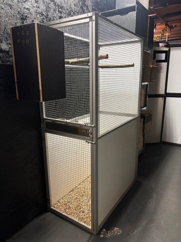 Papagaaien voliere, Ophalen of Verzenden, Zo goed als nieuw, Aluminium, Volière