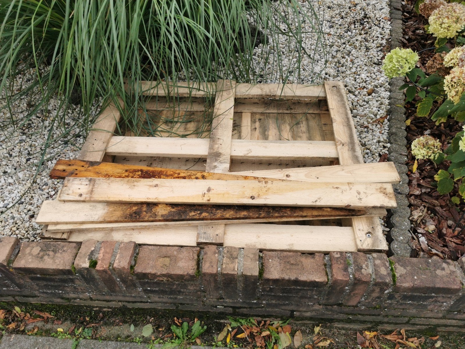 onbehandelde houten pallet en planken, Ophalen, Gebruikt, 25 tot 50 mm, Pallet