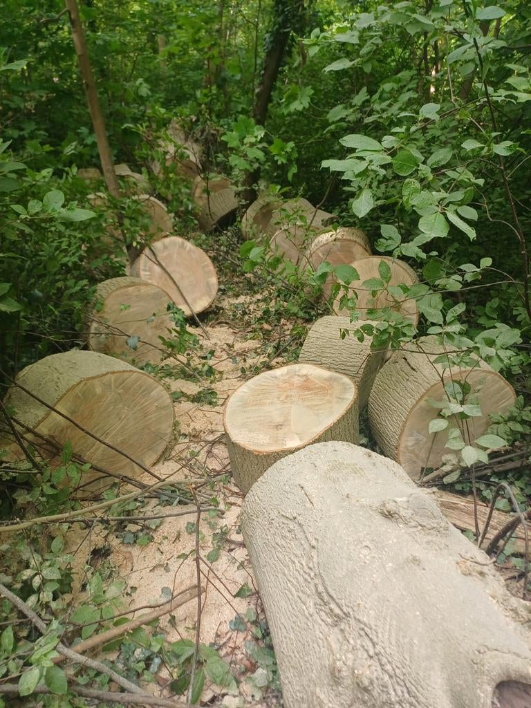 Mooi es hout, Minder dan 3 m³, Ophalen