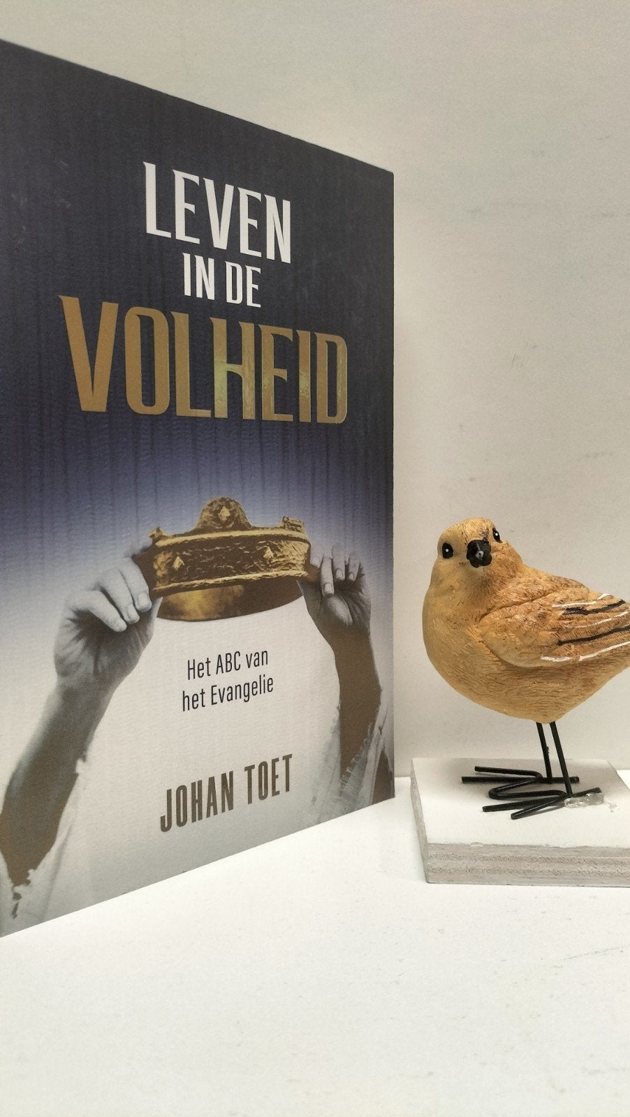Toet, Johan; Leven in de volheid, Boeken, Ophalen of Verzenden, Gelezen, Christendom | Protestants