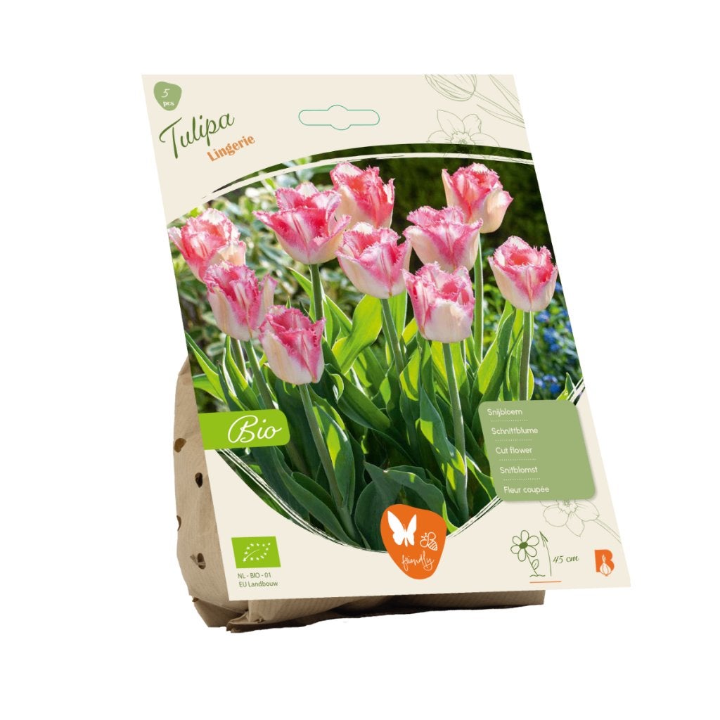 Tulp (Tulipa Lingerie) BIOLOGISCH, Ophalen of Verzenden, Najaar, Volle zon, Bloembol
