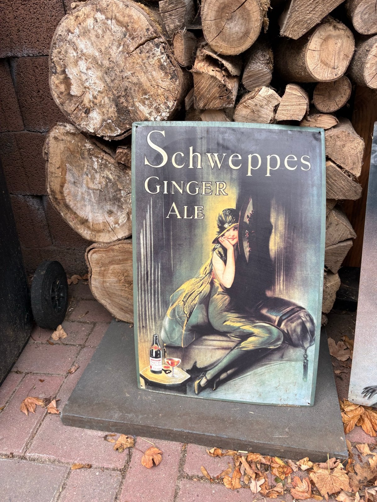 Vintage Schweppes Ginger Ale reclamebord 60x39 cm, Ophalen of Verzenden