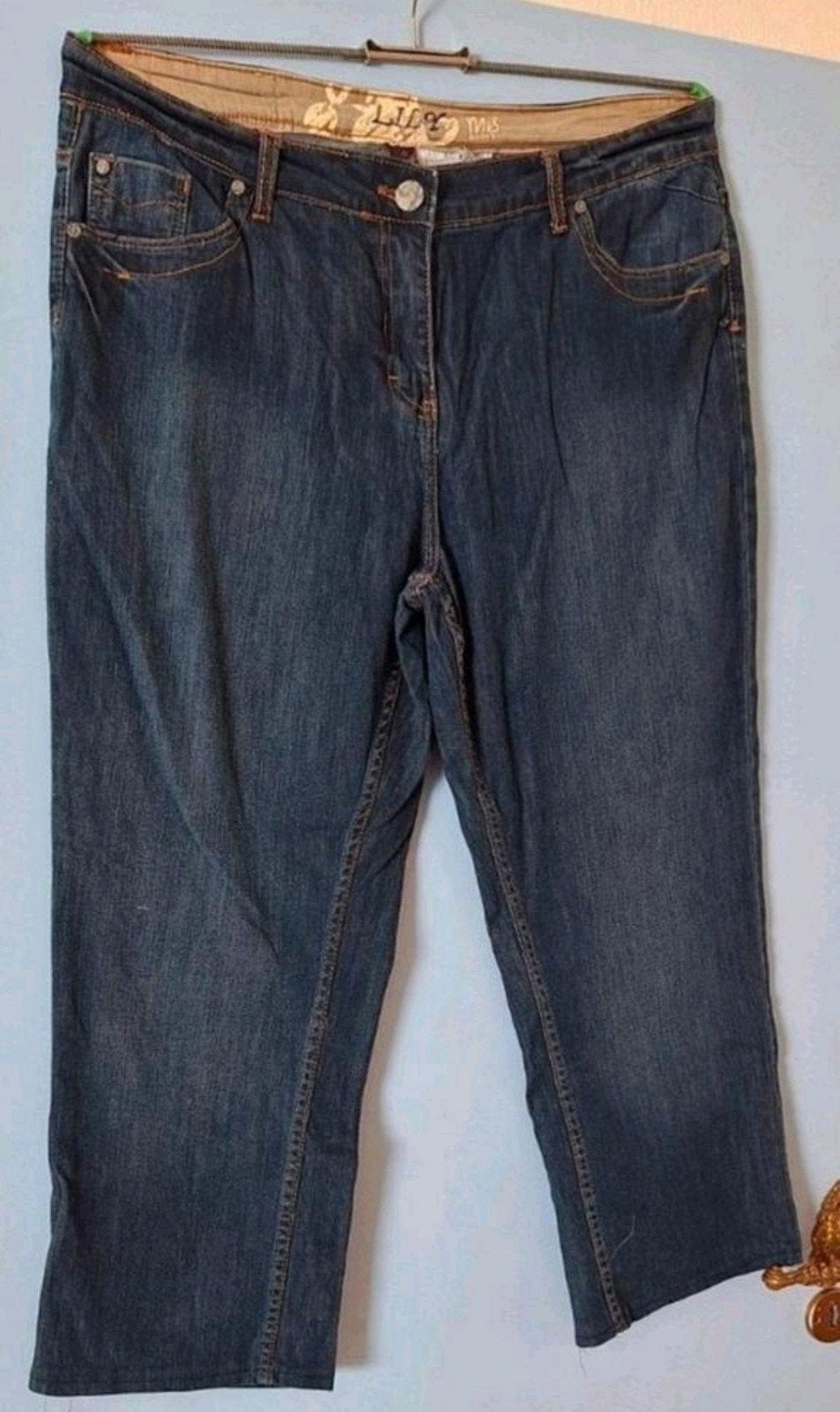 NIEUWE ORGINELE M&S MODE LILY DAMES MERK JEANS
MAAT 46
KLEUR, Kleding | Dames, Blauw, Overige jeansmaten, Nieuw, Ophalen of Verzenden