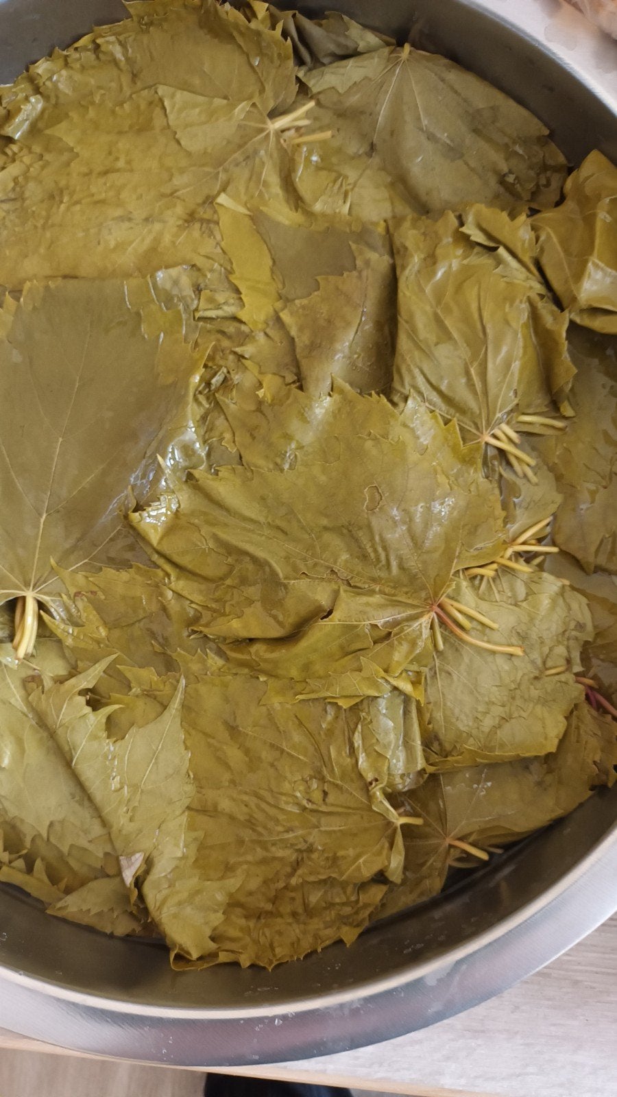 Eetbare druivenbladeren per kg, Ophalen of Verzenden