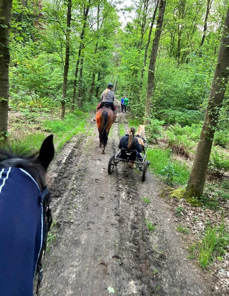 Stalling beschikbaar voor kleine pony/shetlander in Silvolde, Dieren en Toebehoren, Stalling en Weidegang, Stalling