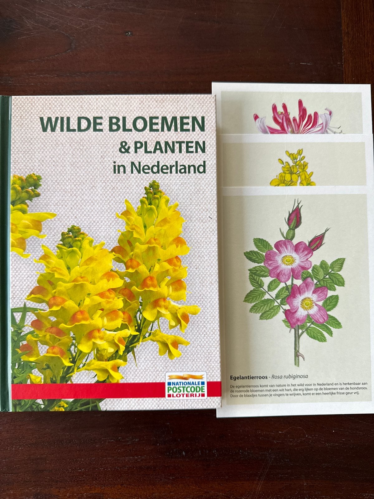 Deel 4 Wilde Bloemen & Planten in Nederland Postcode Loterij, Boeken, Ophalen of Verzenden, Nieuw, Bloemen, Planten en Bomen