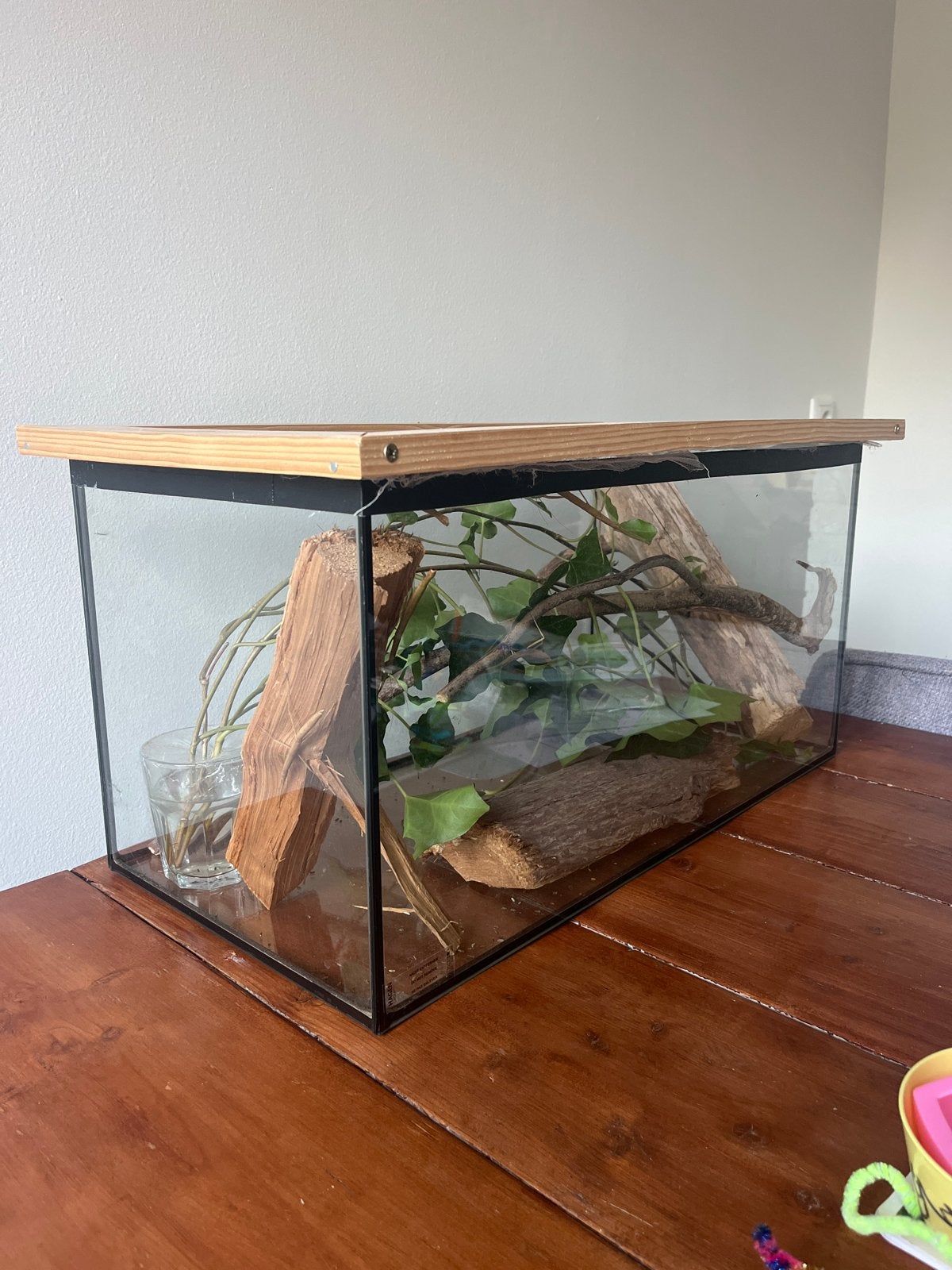 Terrarium inclusief 8 wandelende takken, Ophalen, Zo goed als nieuw, Terrarium of Paludarium