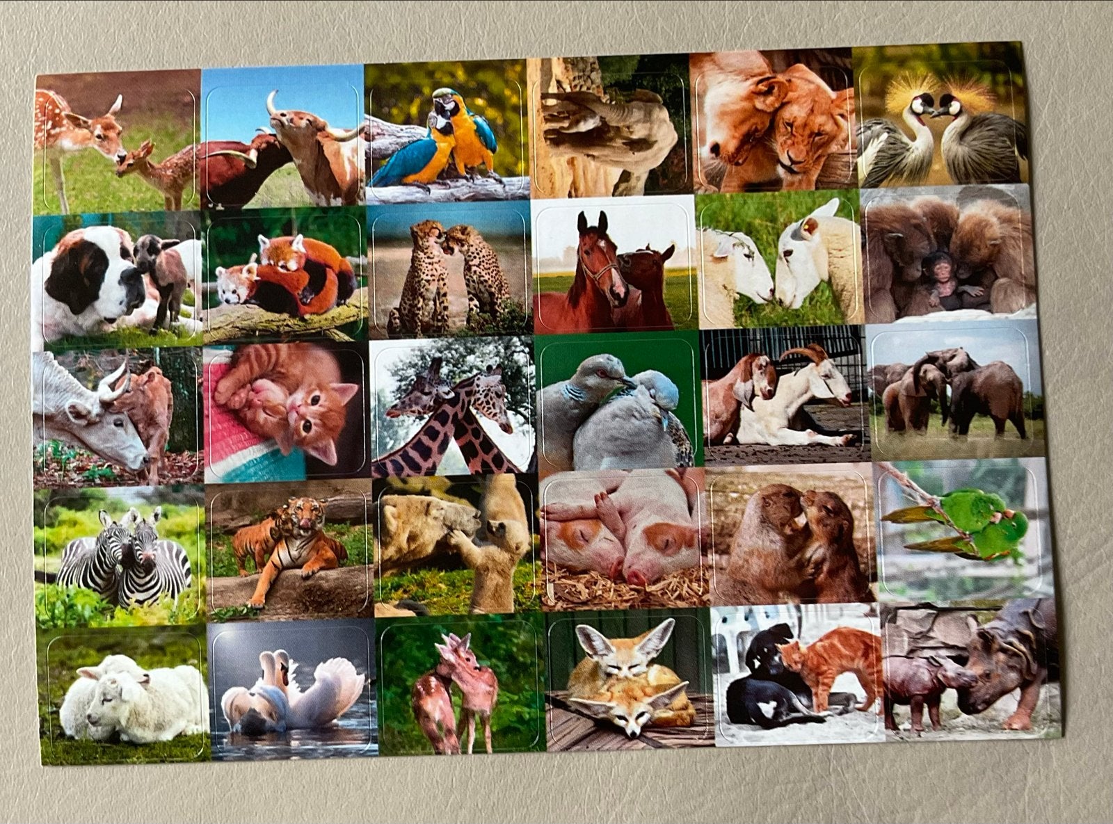 Knuffeldieren stickervel - Serie 452 De Stulp, Verzamelen, Ophalen of Verzenden, Nieuw, Dier en Natuur