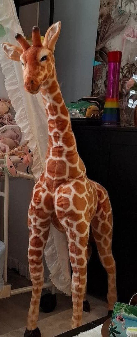 grote giraffe, Ophalen