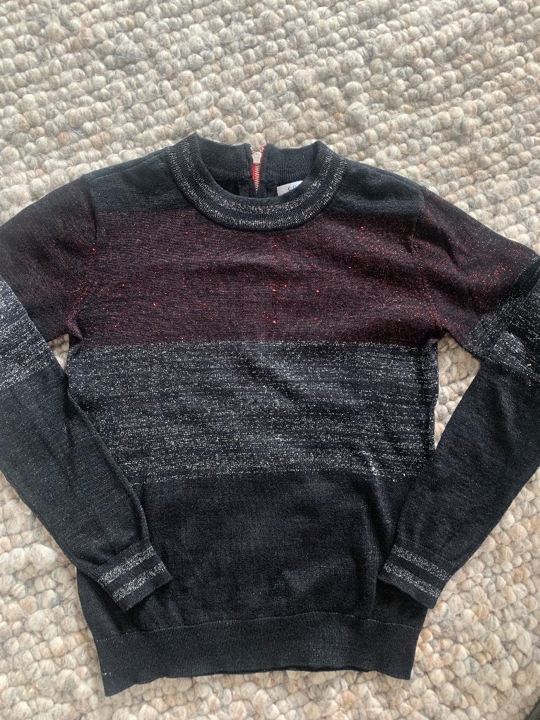 COSTES STUDIO streep trui glimmer maat XS, Kleding | Dames, Meerkleurig, Ophalen of Verzenden, Zo goed als nieuw, Costes