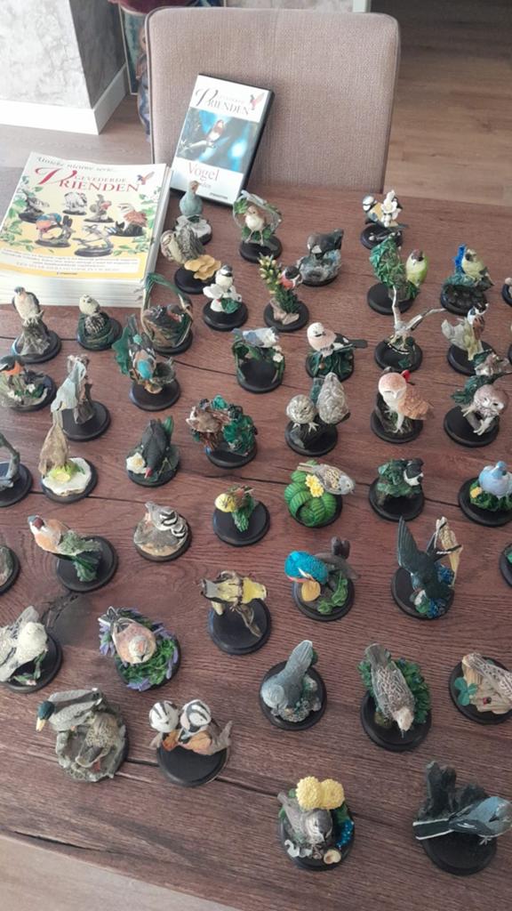 Te koop: Complete Vogelverzameling, Verzamelen, Ophalen of Verzenden, Nieuw, Vogel, Beeldje of Figuurtje