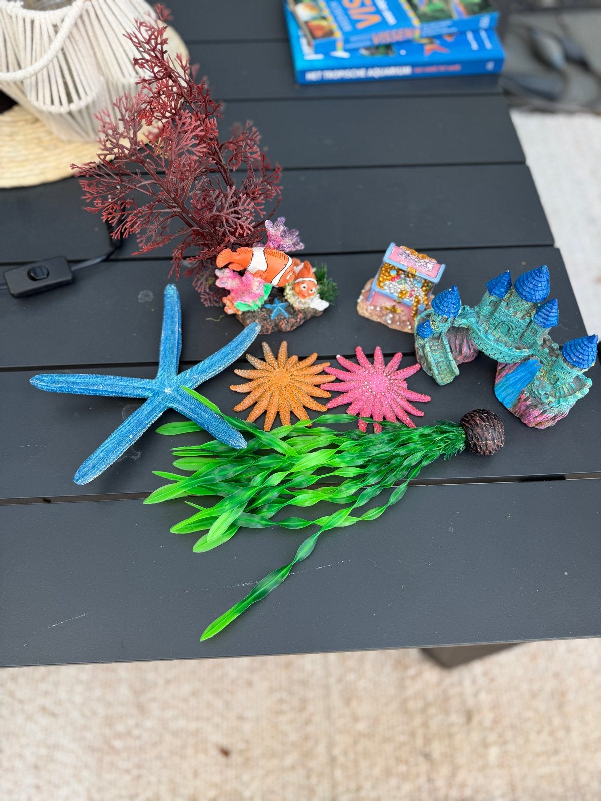 Aquarium decoratie, Dieren en Toebehoren, Ophalen