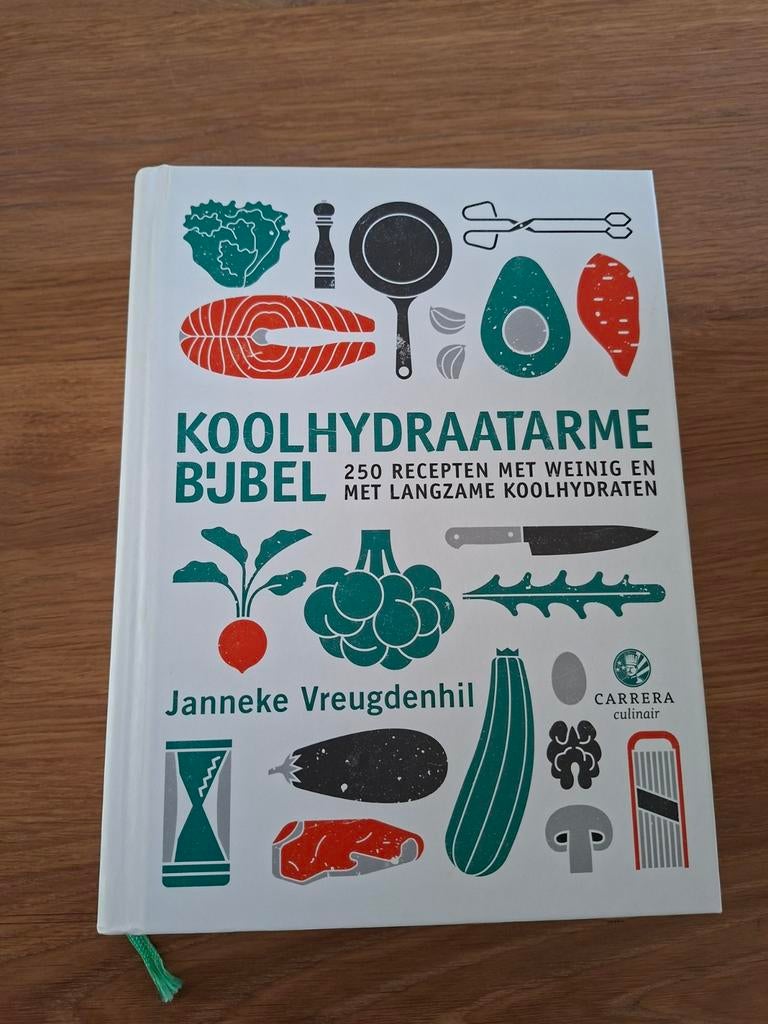Janneke Vreugdenhil - Koolhydraatarme bijbel, Boeken, Kookboeken, Hoofdgerechten, Ophalen of Verzenden, Zo goed als nieuw, Overige gebieden
