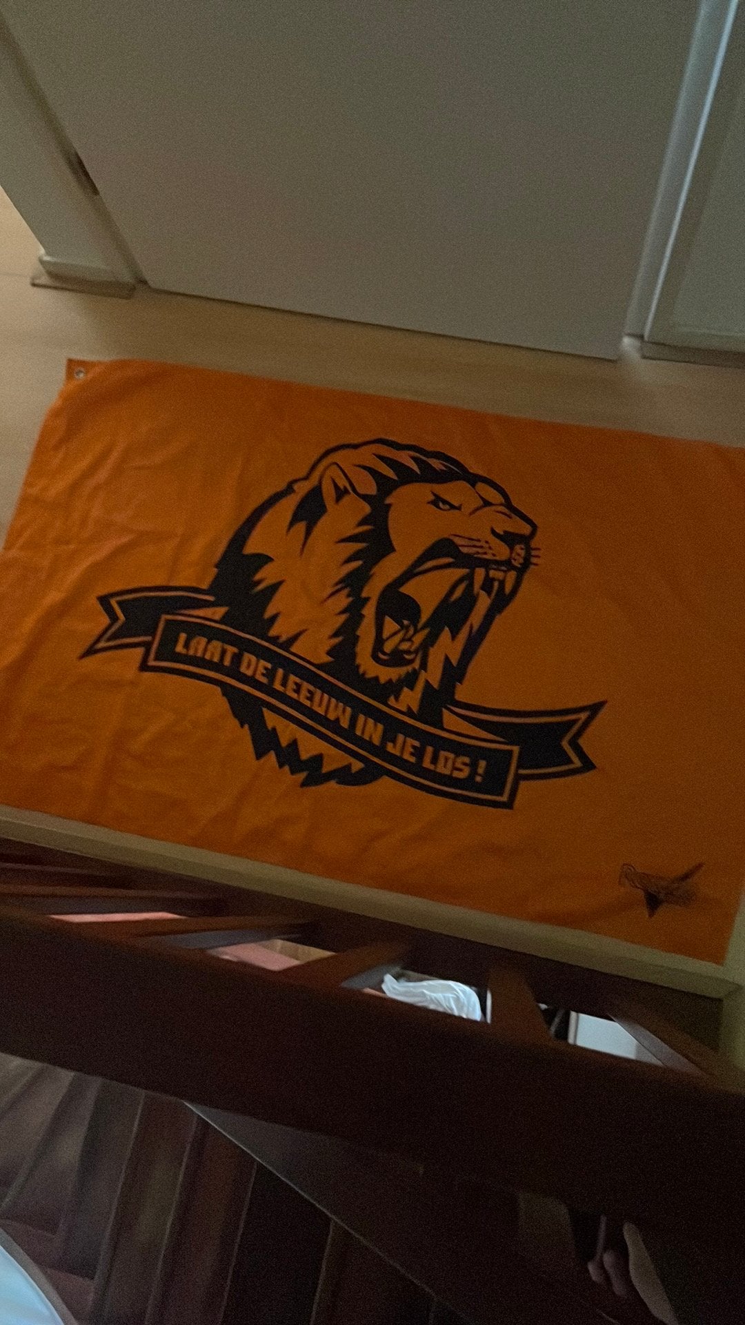 Spandoek/vlag nederlands elftal, Diversen, Ophalen of Verzenden, Zo goed als nieuw