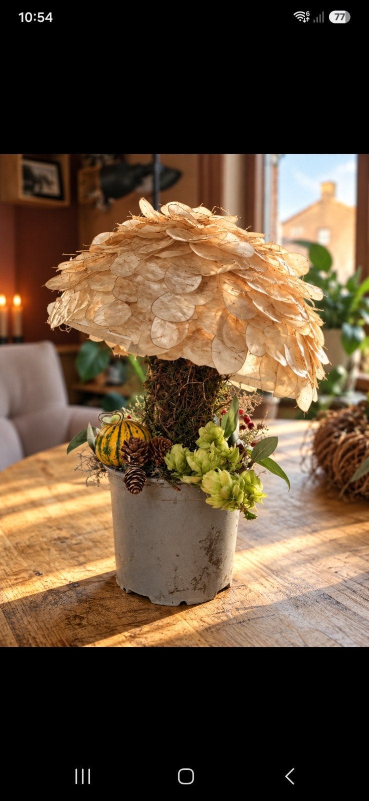 Unieke herfstdecoratie: paddenstoel, Meerkleurig, Ophalen of Verzenden, Natuurlijk materiaal, Landelijk