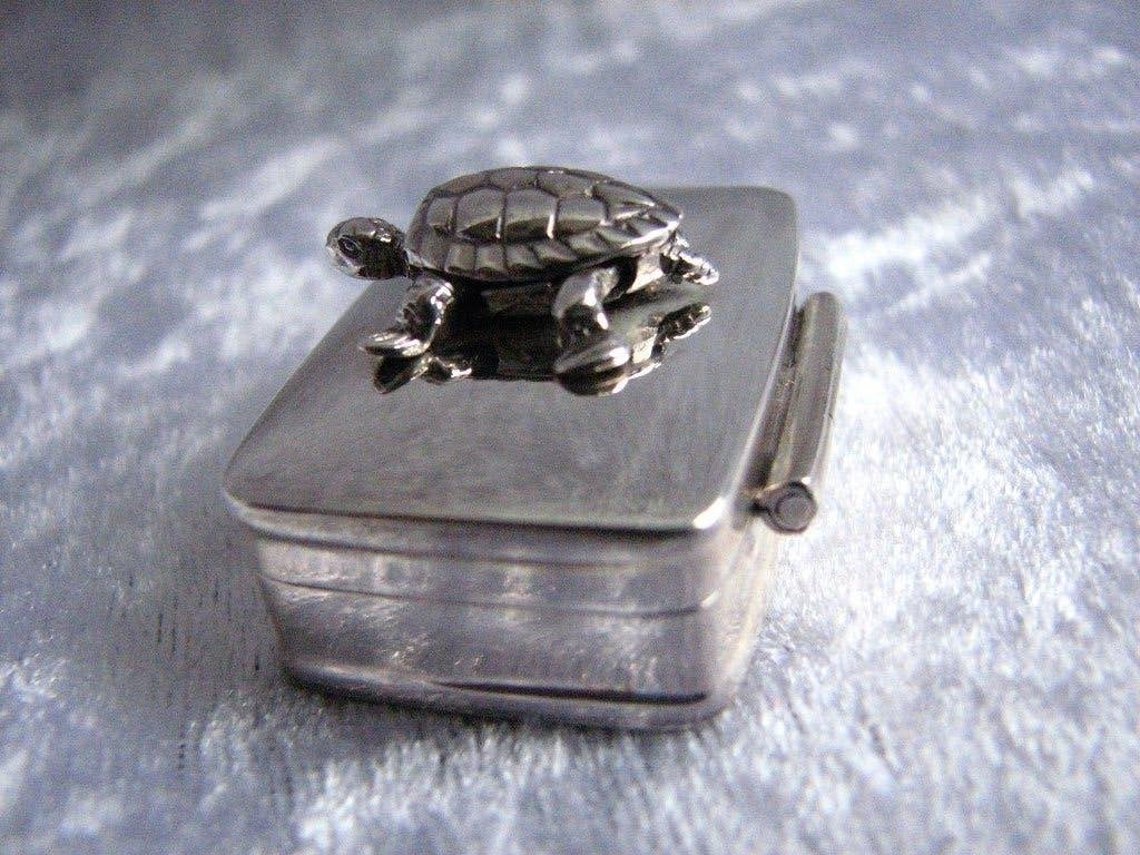 Mooi rechthoekig Zilveren Doosje met Schildpad op Deksel, Verzenden, Zilver