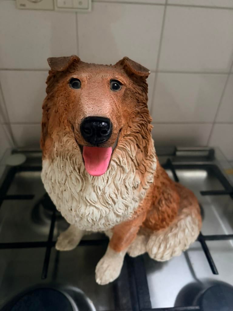 Collie beeld, Ophalen, Gebruikt, Dier