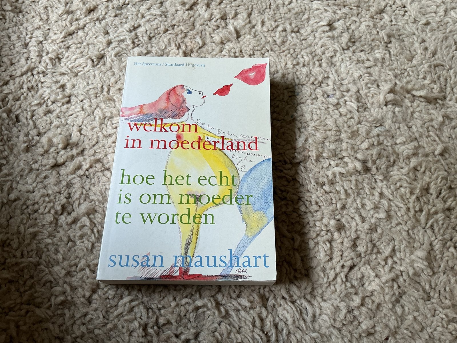 Welkom in Moederland: Hoe het echt is om moeder te worden, Ophalen of Verzenden, Zo goed als nieuw, Zwangerschap en Bevalling