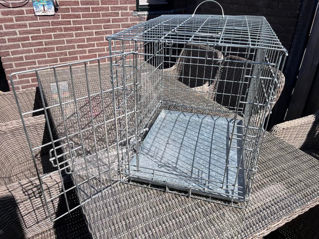 Hondenbenche, Dieren en Toebehoren, Ophalen, Gebruikt