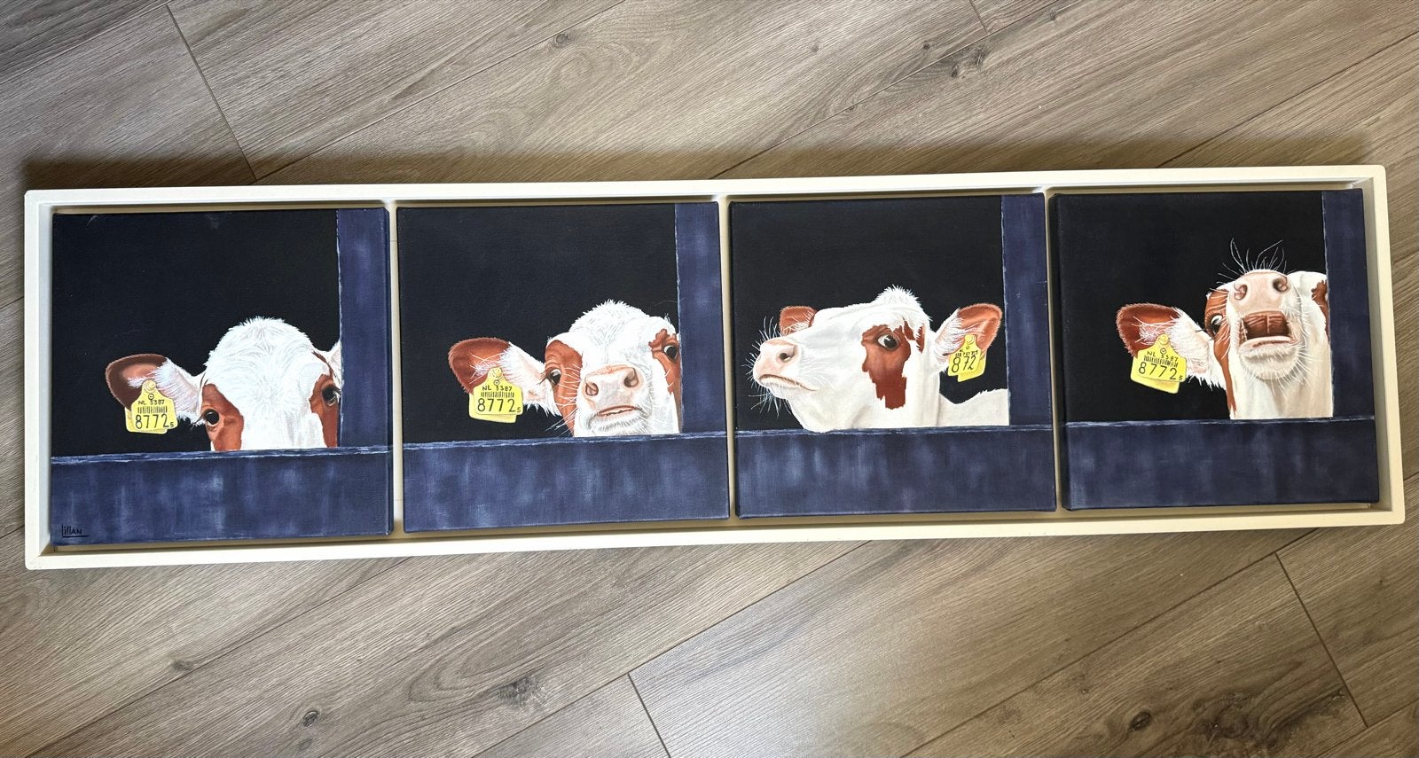 Vierluik Schilderij: Realistische Koeien in Baklijst, Antiek en Kunst, Ophalen, Acrylverf, Doek, Realistisch