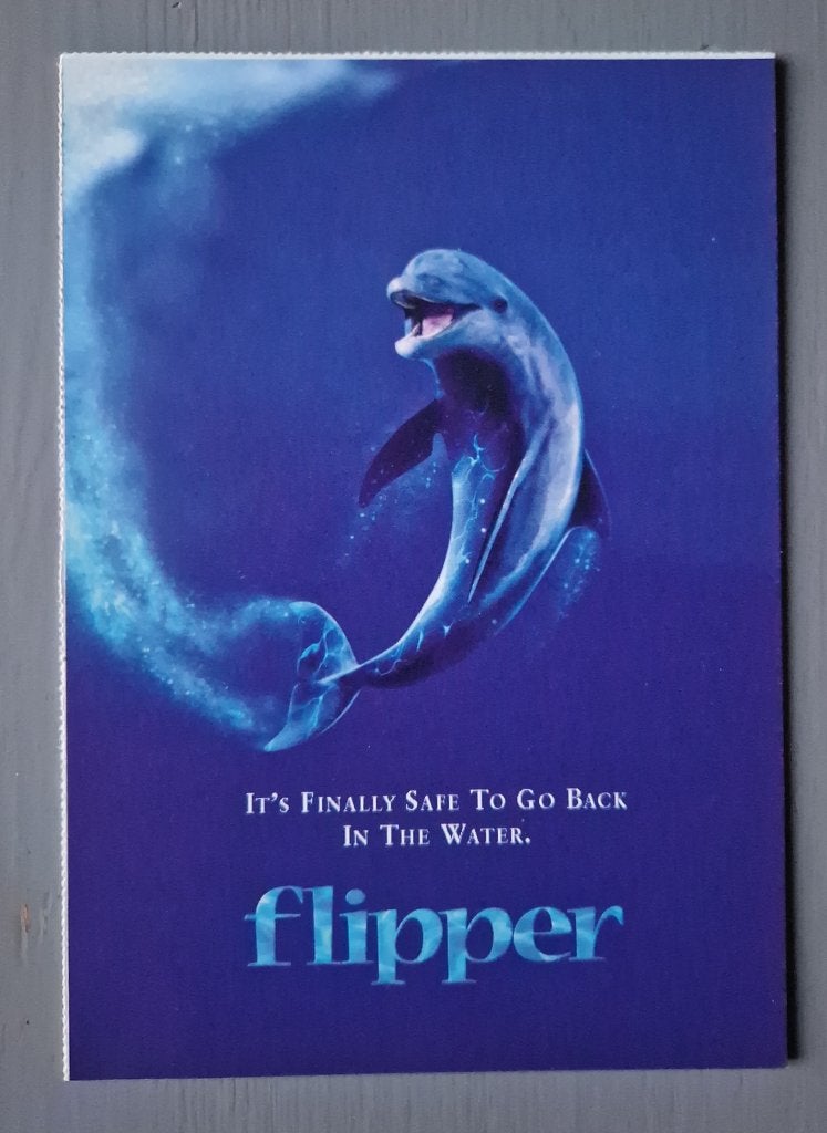 Paul Hogan Elijah Wood Flipper dolfijn Ansichtkaart 3, Verzamelen, Verzenden, 1980 tot heden, Ongelopen, Sterren en Beroemdheden