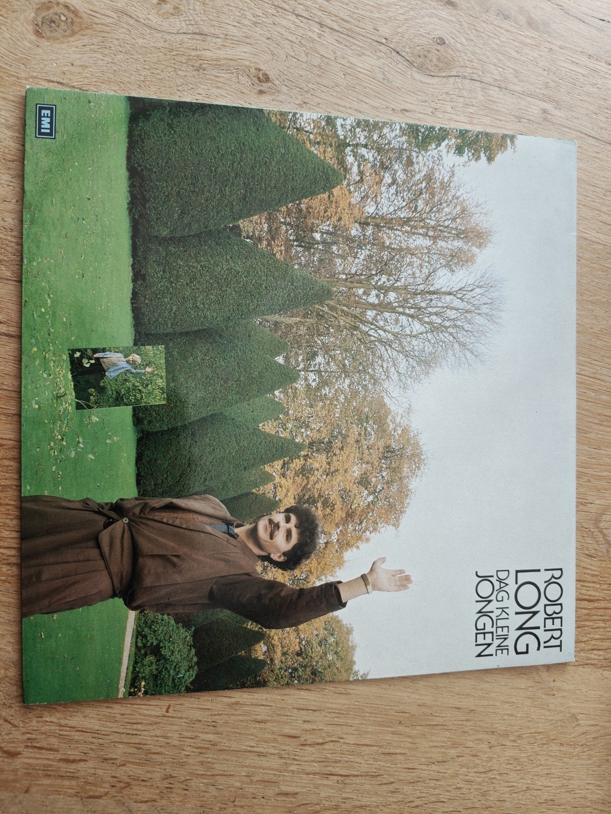 Robert Long - Dag Kleine Jongen LP (Pop, Levenslied), LP, Gebruikt, Ophalen of Verzenden, Pop