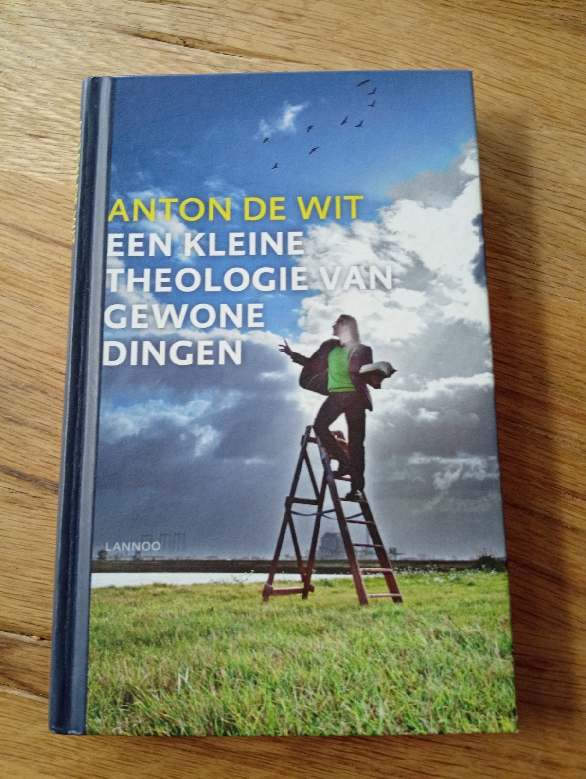 Een Kleine Theologie Van Gewone Dingen - Anton de Wit, Ophalen of Verzenden, Zo goed als nieuw, Anton de Wit, Christendom | Katholiek