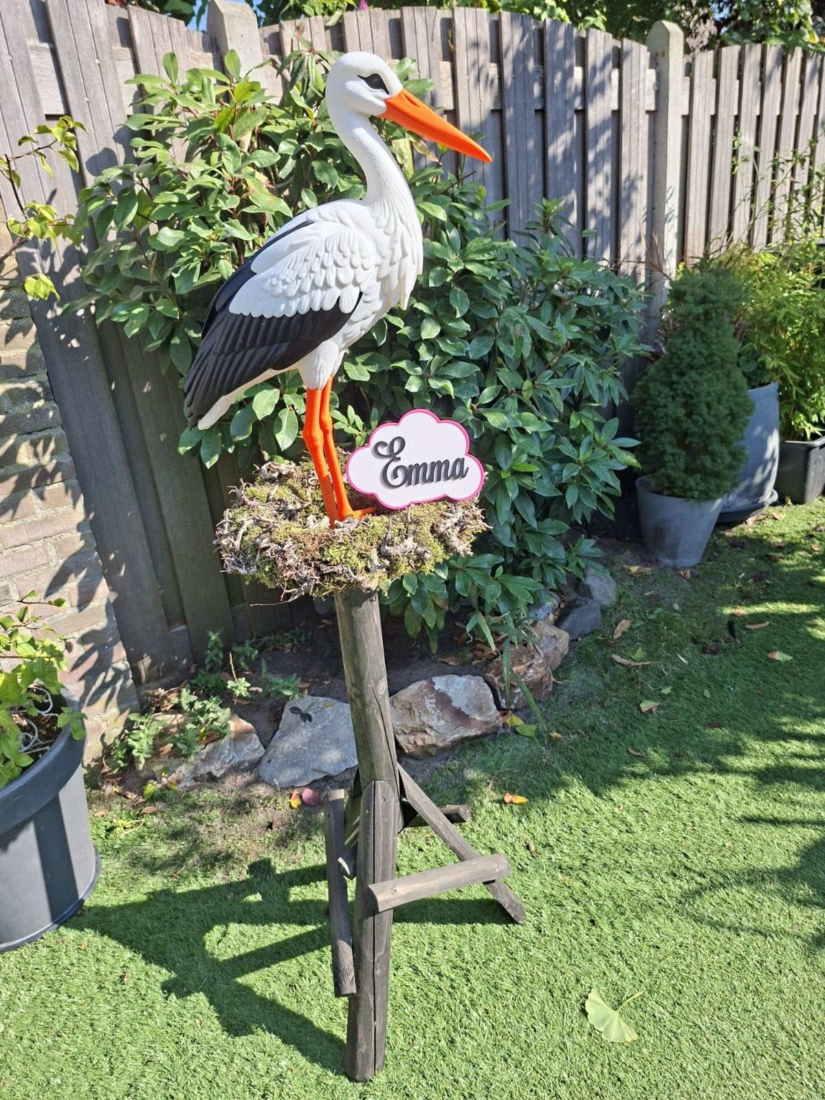 Geboorte ooievaar, Ophalen