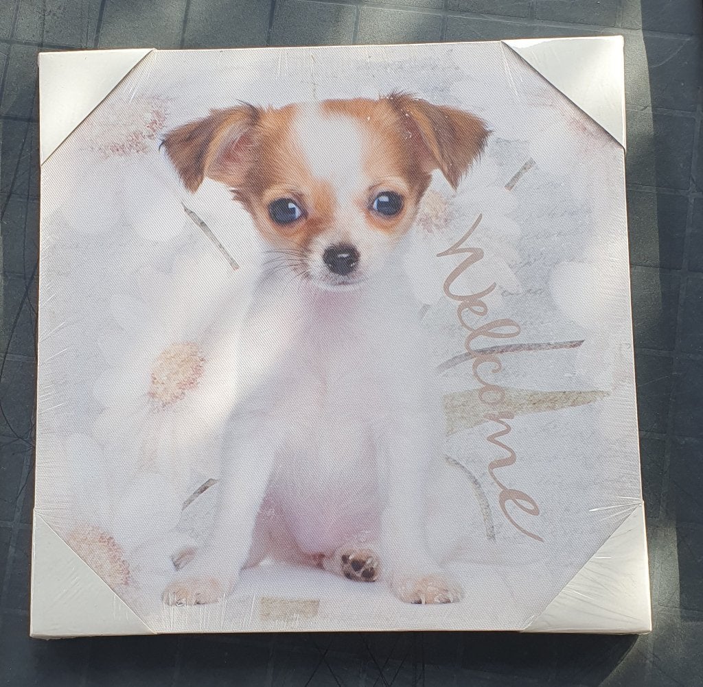 Foto op canvas puppy NIEUW 28x28cm, Minder dan 50 cm, Nieuw, Ophalen of Verzenden, Schilderij