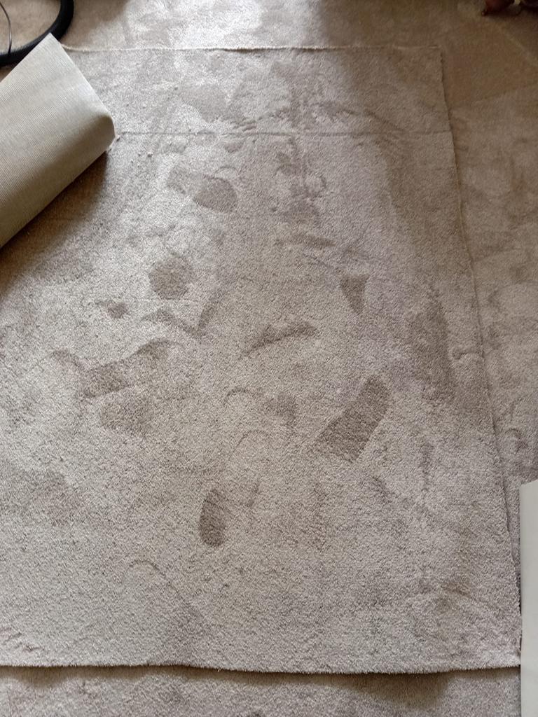 Nieuw stuk tapijt type Ravenna, Huis en Inrichting, Stoffering | Tapijten en Kleden, Ophalen, Beige, 150 tot 200 cm, Rechthoekig