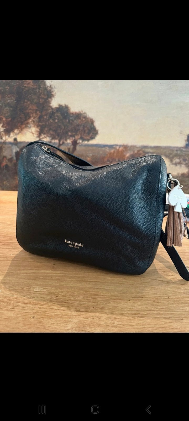 Kate Spade, Sieraden, Tassen en Uiterlijk, Tassen | Damestassen, Ophalen of Verzenden, Zo goed als nieuw, Schoudertasje