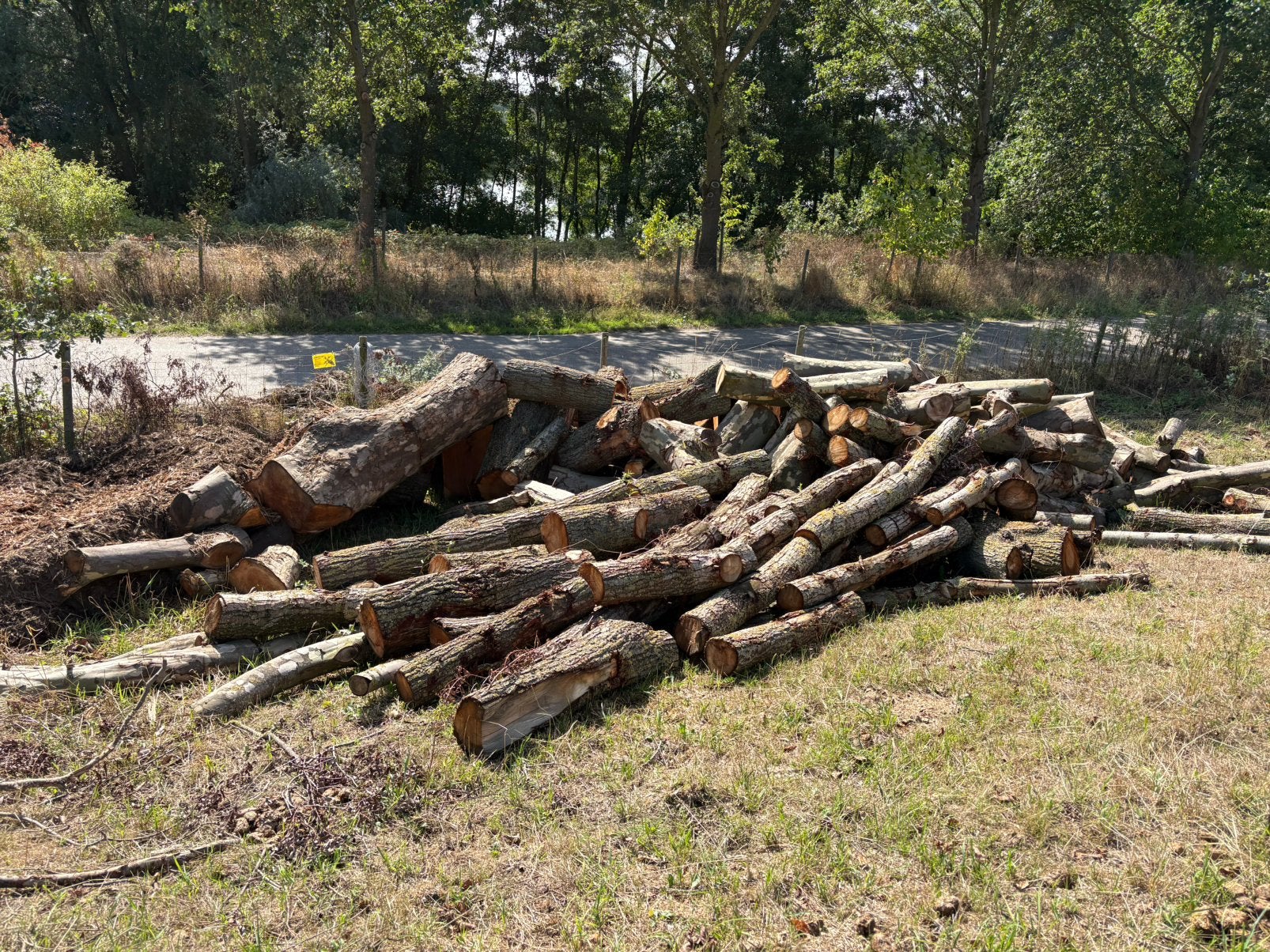 Brandhout Kachelhout haardhout 8 bomen, Tuin en Terras, Haardhout, Minder dan 3 m³, Ophalen