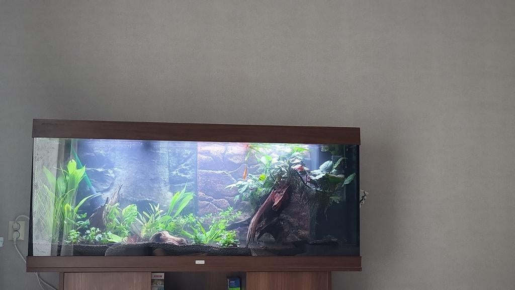 Aquarium, Juwel Rio 400, Dieren en Toebehoren, Ophalen, Gebruikt, Leeg aquarium