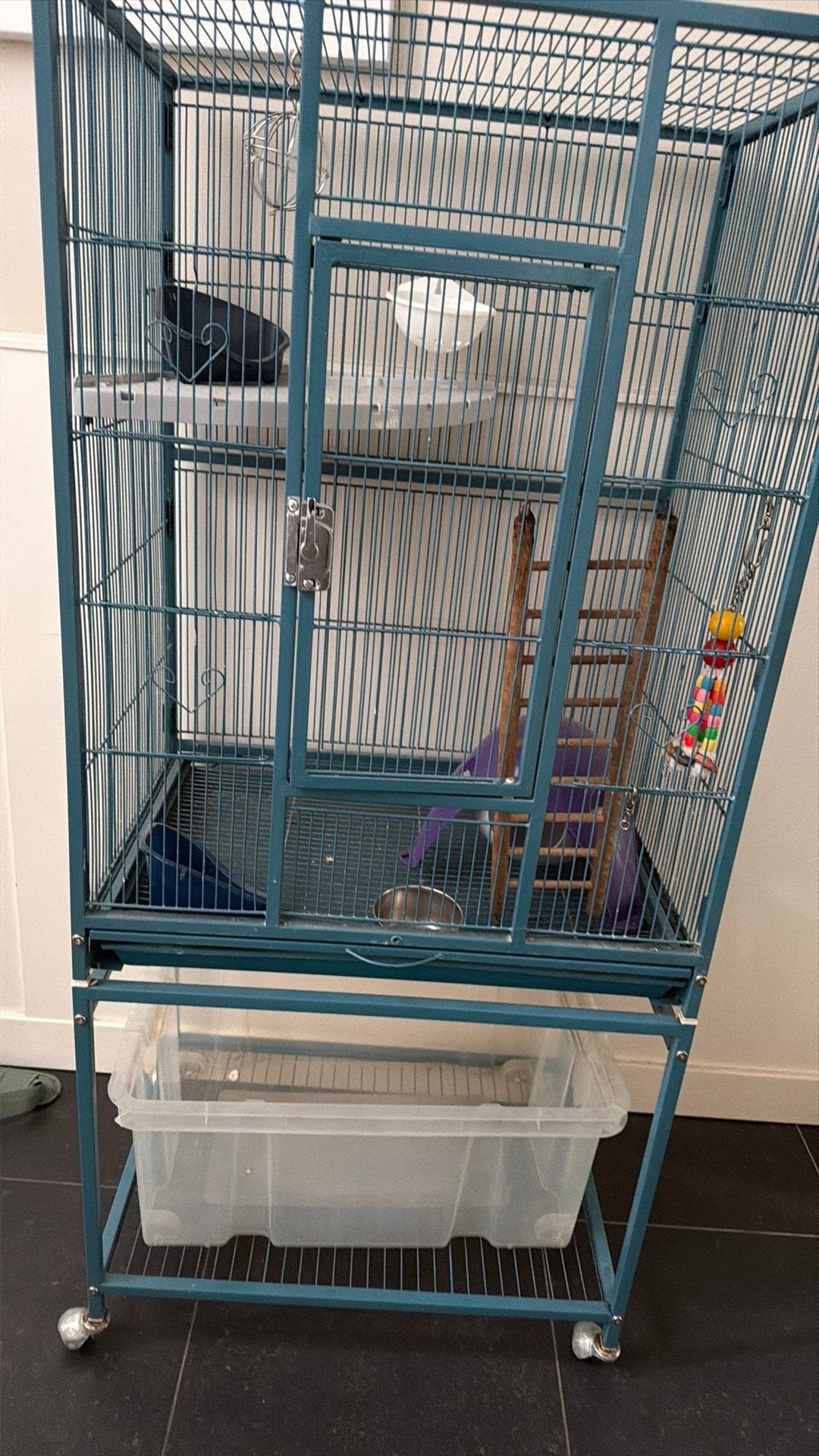Vogelkooi/reptielen kooi, Ophalen, Zo goed als nieuw, Metaal, Vogelkooi