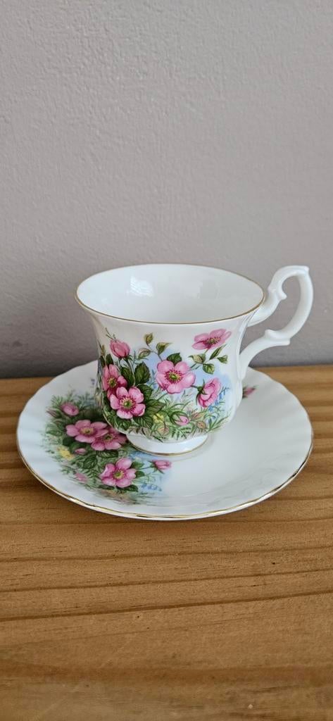 Royal Albert kop en schotel, Verzamelen, Porselein, Kristal en Bestek, Ophalen of Verzenden, Zo goed als nieuw, Porselein, Kop en/of schotel