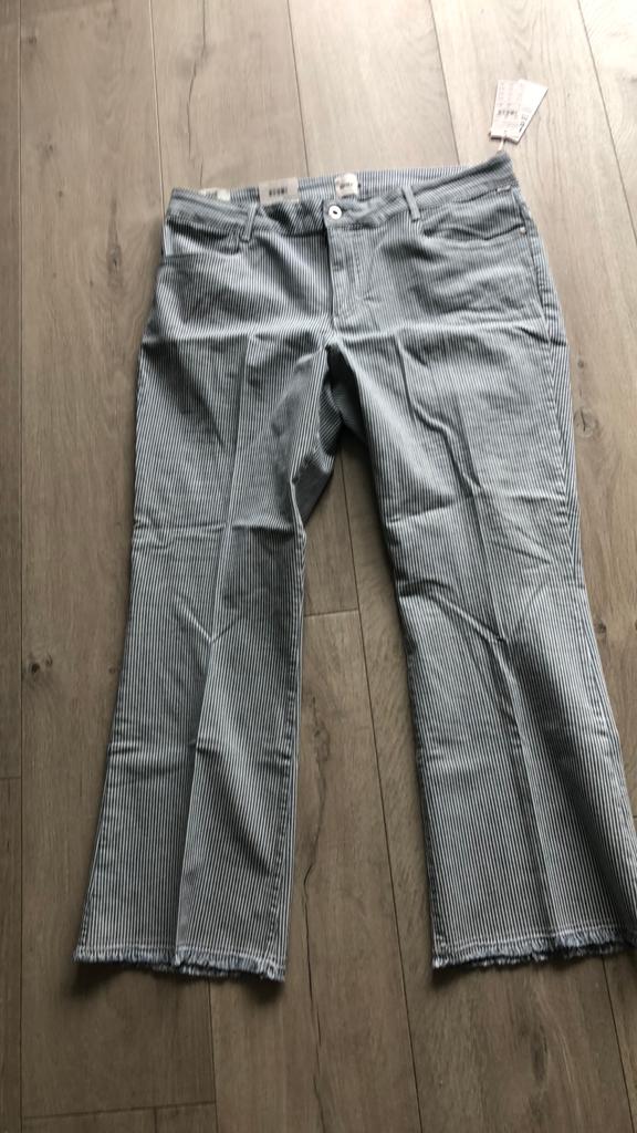 Brax broek streep maat 44 nieuw, Blauw, Maat 42/44 (L), Nieuw, Ophalen of Verzenden