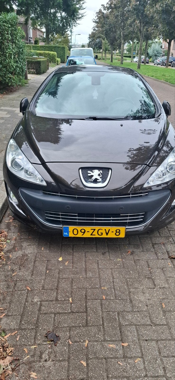 Peugeot 308 1.6 THP CC 2009 Bruin, Auto's, 1487 kg, 4 cilinders, 4 stoelen, Handgeschakeld