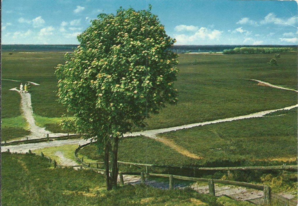 Epe       762, Ophalen of Verzenden, Voor 1920, Gelderland