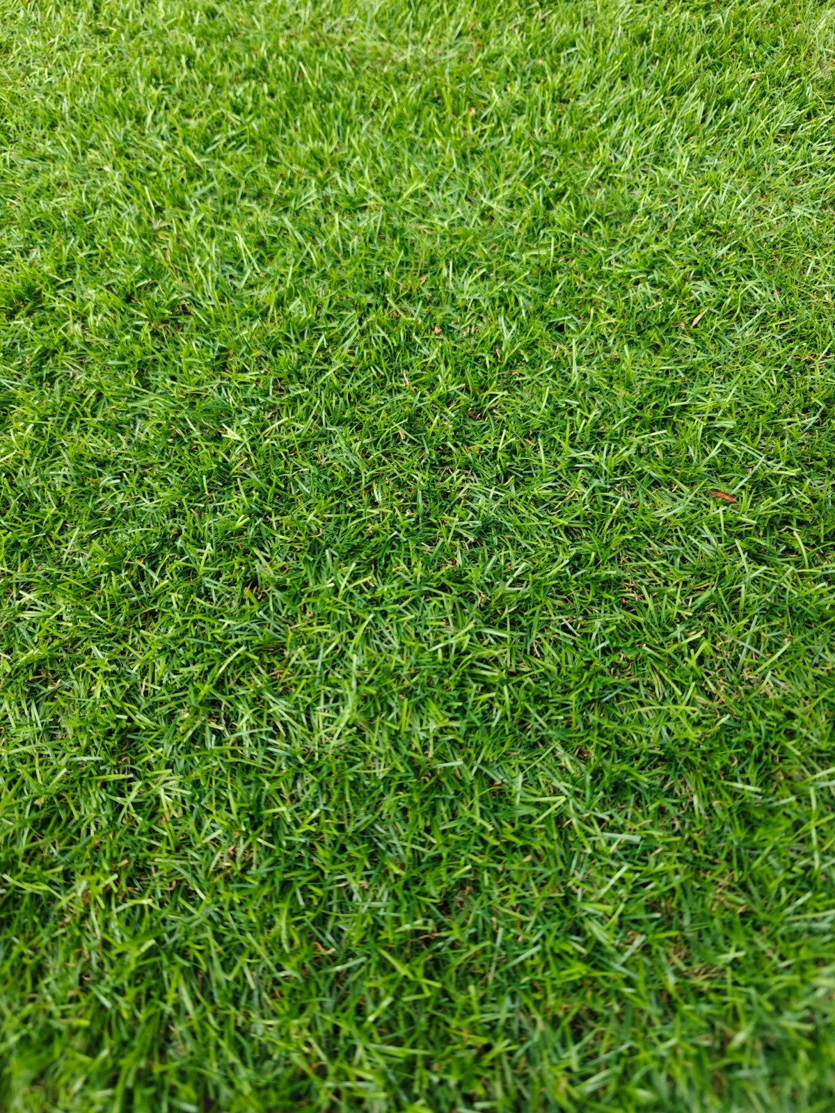Kunstgras voor tuin of speelplaats, Ophalen, Gebruikt, 10 tot 20 m², Kunstgras