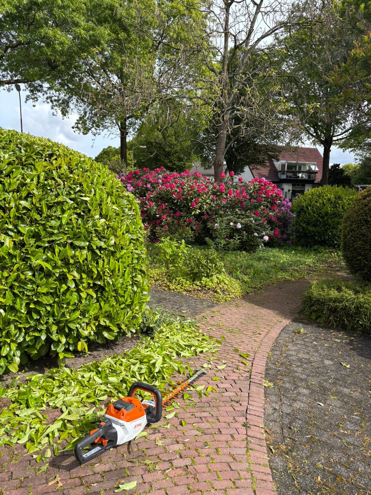 Hovenier Harderwijk omgeving – Tuinaanleg en Onderhoud, Diensten en Vakmensen, Tuinonderhoud of Snoeiwerk