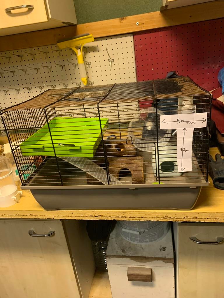 Hamster kooi, Dieren en Toebehoren, Kooi, Gebruikt, Minder dan 75 cm, Hamster
