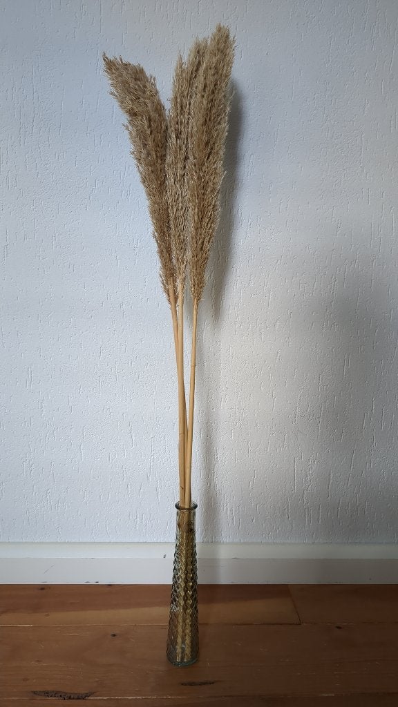 Sier pluimen 3 stuks, Ophalen, Zo goed als nieuw, Binnen, 115 cm