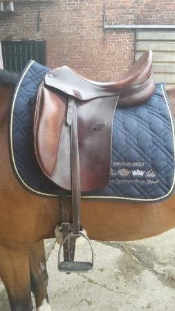 Dressuur dekje, maat Full, Harry's Horse, Dieren en Toebehoren, Full (L), Gebruikt, Zadeldekje, Ophalen of Verzenden