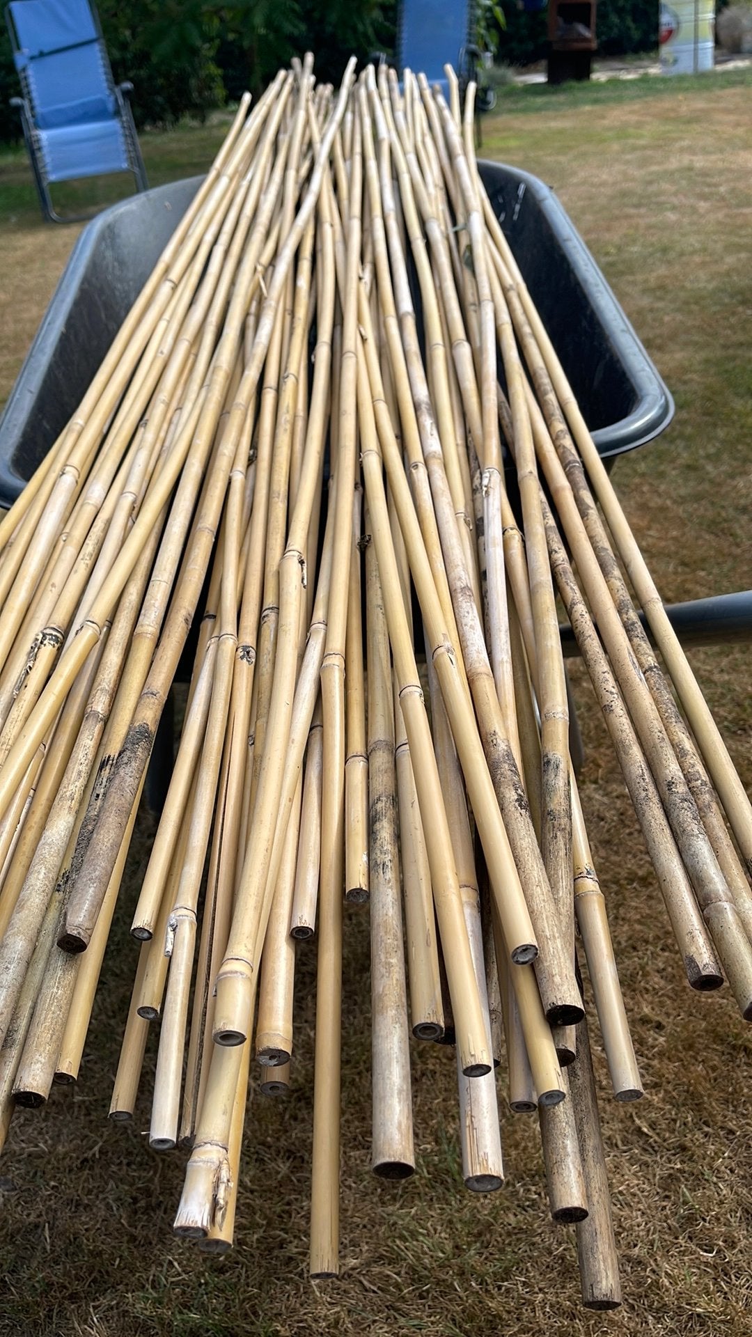 Bamboe stokken 1.80 hoog  150  stuks, Ophalen, Zo goed als nieuw, Overige typen