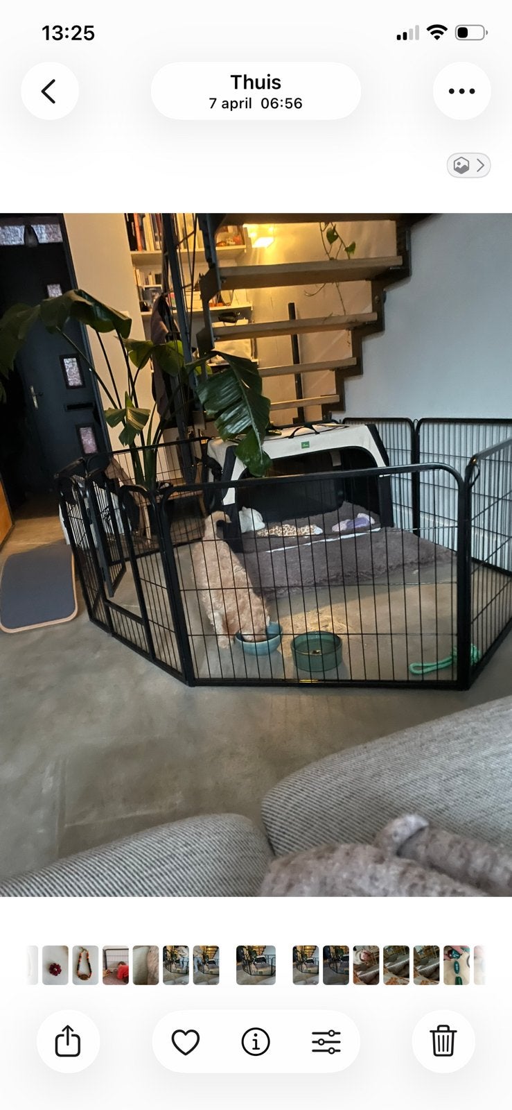 Metalen Adori puppy/ honden ren, Dieren en Toebehoren, Ophalen, Zo goed als nieuw