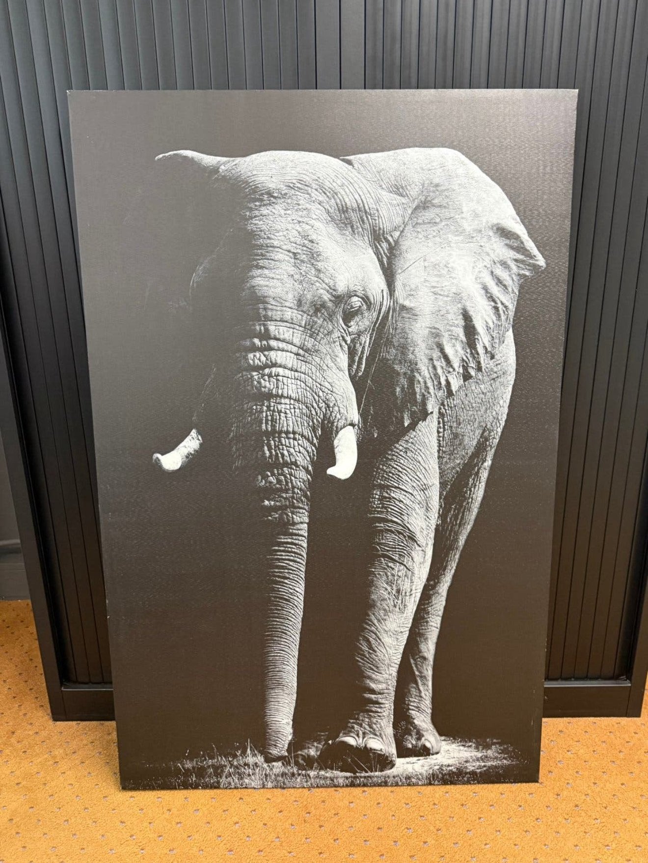 Wanddecoratie/ foto op canvas / schilderij, Huis en Inrichting, Ophalen, Zo goed als nieuw, Schilderij