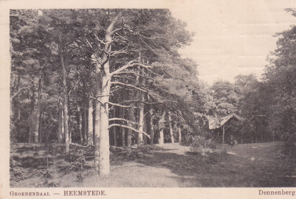 Heemstede - Groenendaal Dennenberg 1918, Verzenden, Voor 1920, Gelopen, Noord-Holland