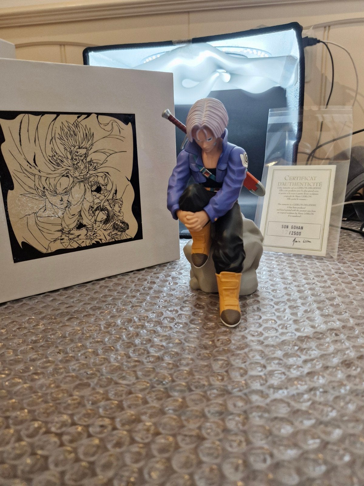 Dragonball z  trunks jaar 2009 leblon delienne nummer 541, Verzenden, Zo goed als nieuw, Overige typen